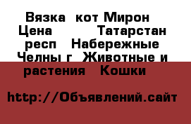 Вязка, кот Мирон › Цена ­ 500 - Татарстан респ., Набережные Челны г. Животные и растения » Кошки   